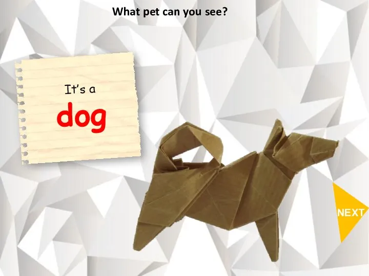 NEXT What pet can you see?