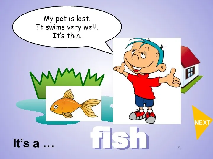 My pet is lost. It swims very well. It’s thin. It’s a … fish NEXT