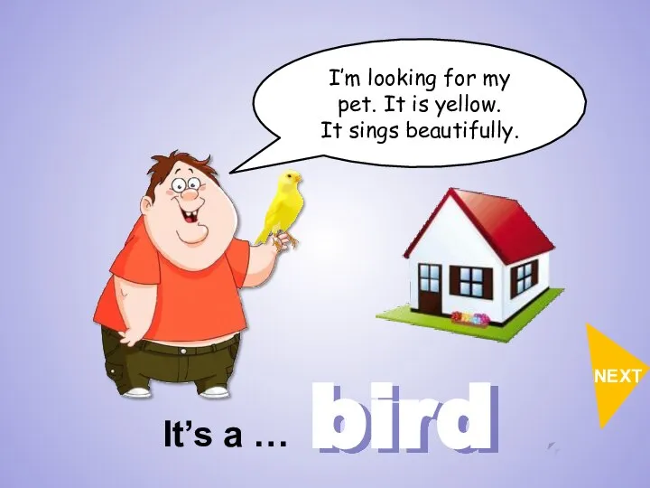 bird I’m looking for my pet. It is yellow. It sings beautifully. It’s a … NEXT