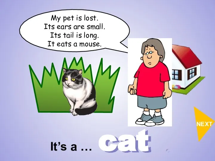 cat My pet is lost. Its ears are small. Its tail