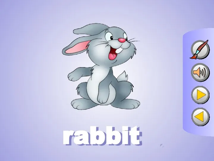 rabbit