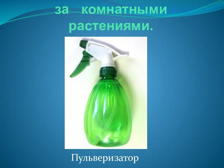 Ручной инвентарь по уходу за комнатными растениями. Пульверизатор