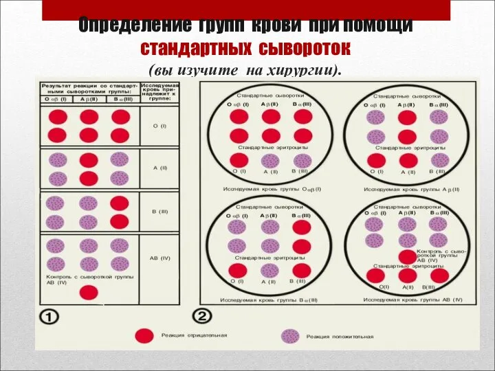 Определение групп крови при помощи стандартных сывороток (вы изучите на хирургии).