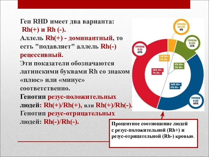 Ген RHD имеет два варианта: Rh(+) и Rh (-). Аллель Rh(+)