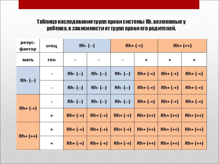 Таблица наследования групп крови системы Rh, возможные у ребенка, в зависимости от групп крови его родителей.