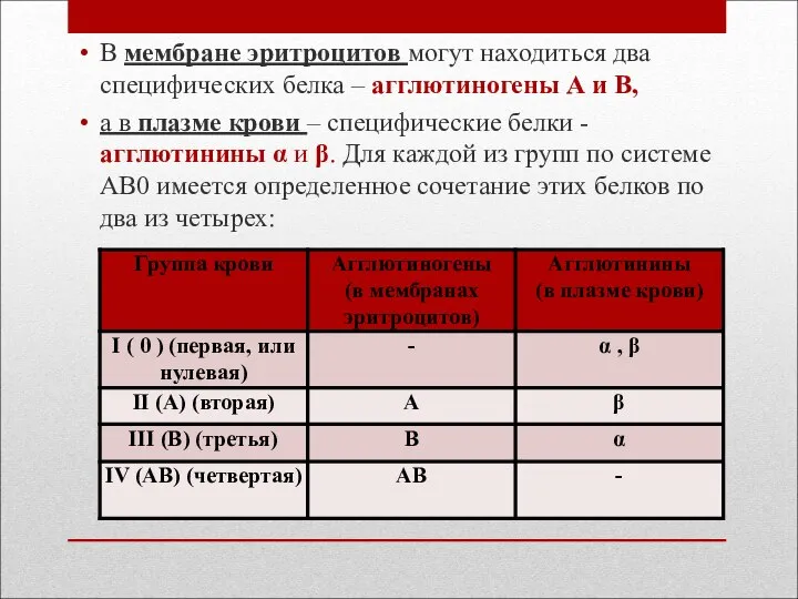 В мембране эритроцитов могут находиться два специфических белка – агглютиногены А