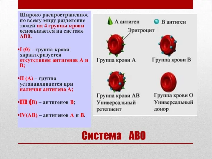 Система АВО Широко распространенное по всему миру разделение людей на 4