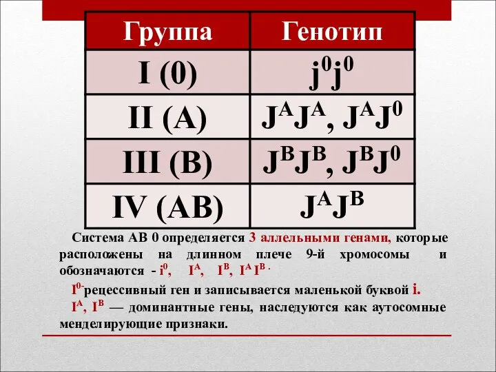 Система АВ 0 определяется 3 аллельными генами, которые расположены на длинном