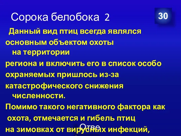 Сорока белобока 2 Данный вид птиц всегда являлся основным объектом охоты