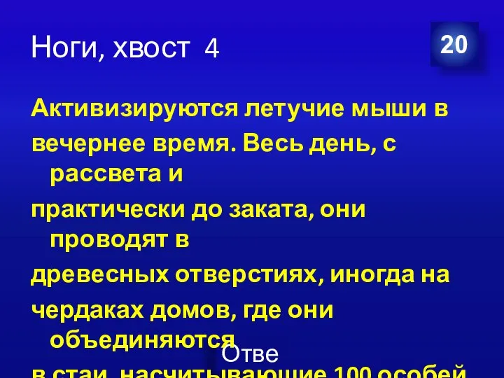 Ноги, хвост 4 Активизируются летучие мыши в вечернее время. Весь день,