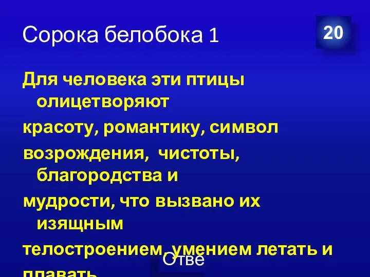 Сорока белобока 1 Для человека эти птицы олицетворяют красоту, романтику, символ