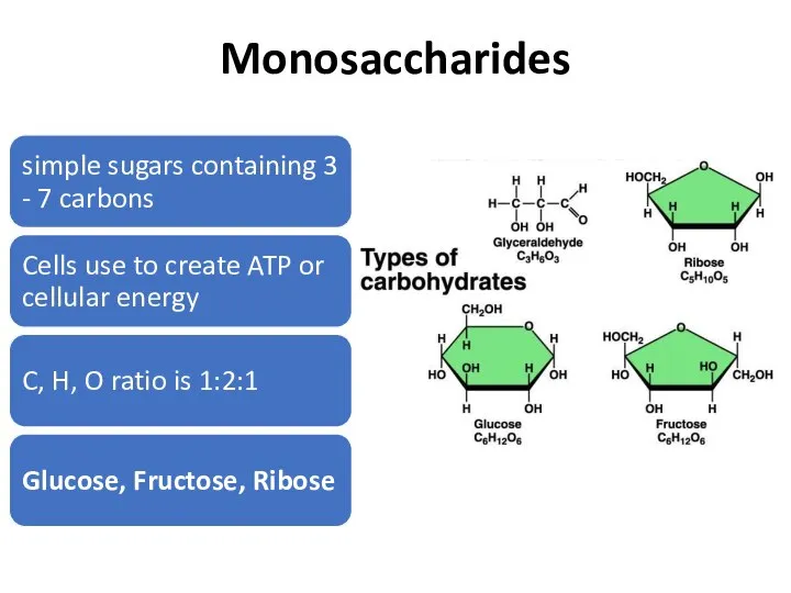 Monosaccharides