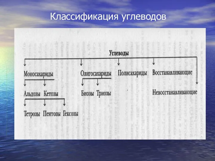 Классификация углеводов