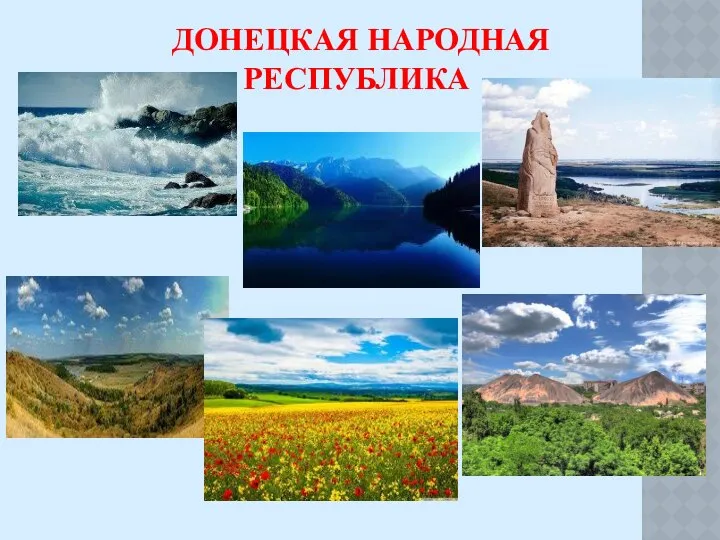 ДОНЕЦКАЯ НАРОДНАЯ РЕСПУБЛИКА