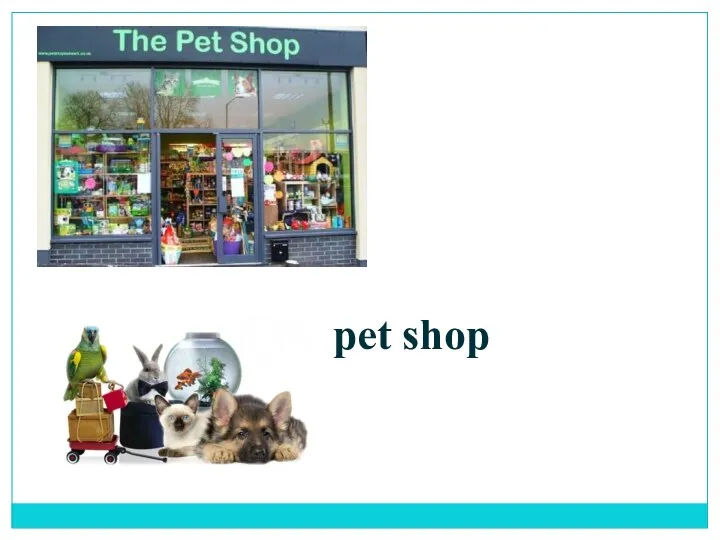 pet shop