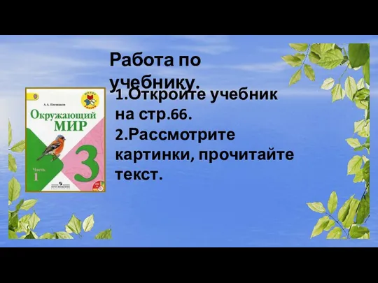 Работа по учебнику. 1.Откройте учебник на стр.66. 2.Рассмотрите картинки, прочитайте текст.