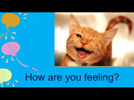 How are you feeling?