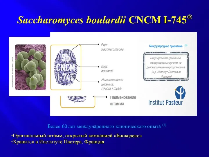 Saccharomyces boulardii CNCM I-745® Более 60 лет международного клинического опыта (8)