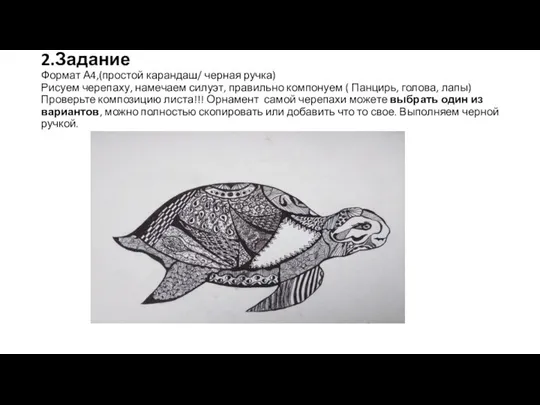 2.Задание Формат А4,(простой карандаш/ черная ручка) Рисуем черепаху, намечаем силуэт, правильно