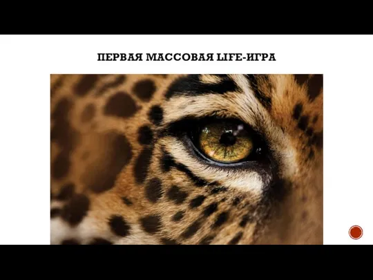 ПЕРВАЯ МАССОВАЯ LIFE-ИГРА