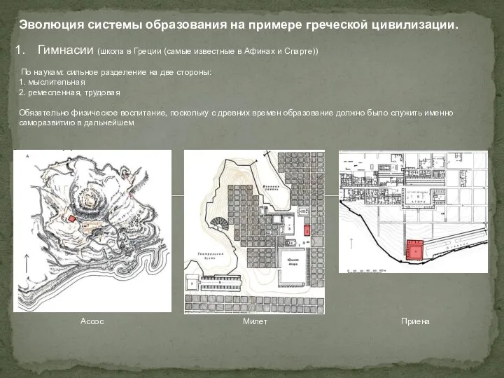 Эволюция системы образования на примере греческой цивилизации. Гимнасии (школа в Греции
