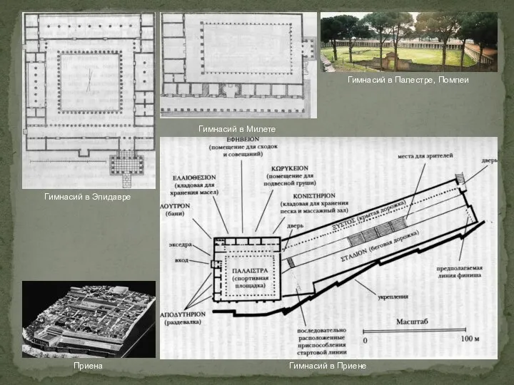 Гимнасий в Приене Гимнасий в Милете Гимнасий в Эпидавре Гимнасий в Палестре, Помпеи Приена