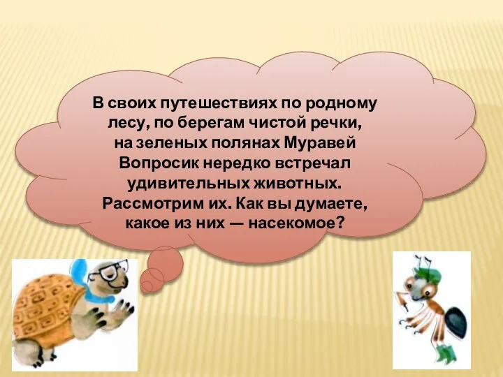 В своих путешествиях по родному лесу, по берегам чистой речки, на