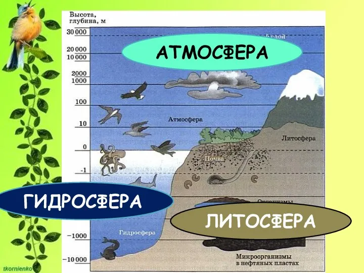 АТМОСФЕРА ЛИТОСФЕРА ГИДРОСФЕРА