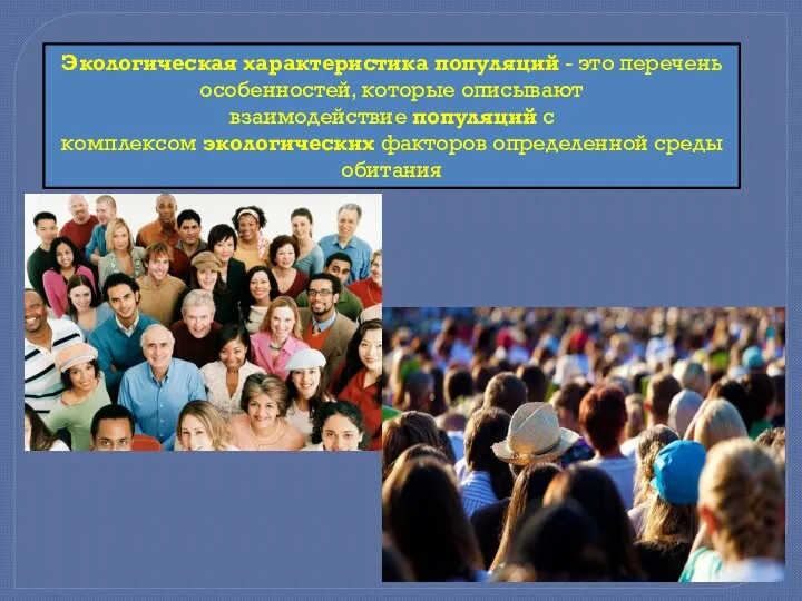 Экологическая характеристика популяций - это перечень особенностей, которые описывают взаимодействие популяций