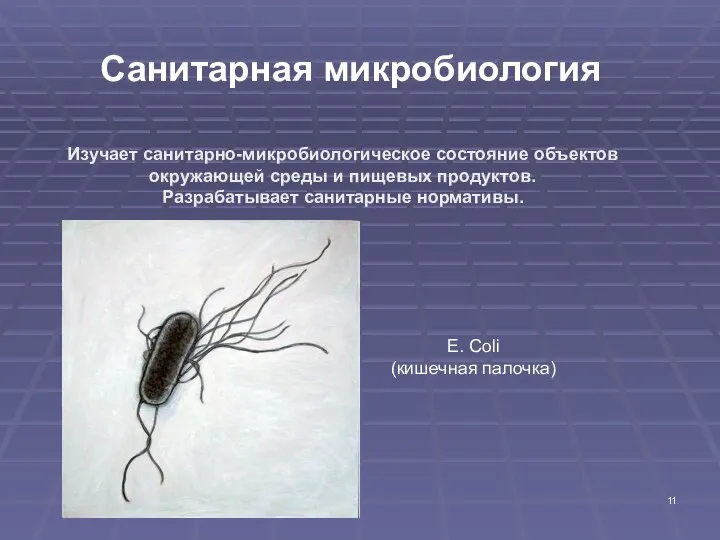 Санитарная микробиология Изучает санитарно-микробиологическое состояние объектов окружающей среды и пищевых продуктов.