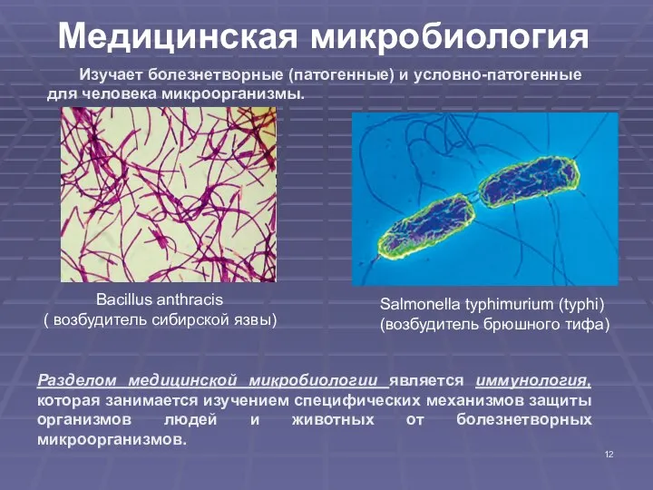 Медицинская микробиология Изучает болезнетворные (патогенные) и условно-патогенные для человека микроорганизмы. Вacillus