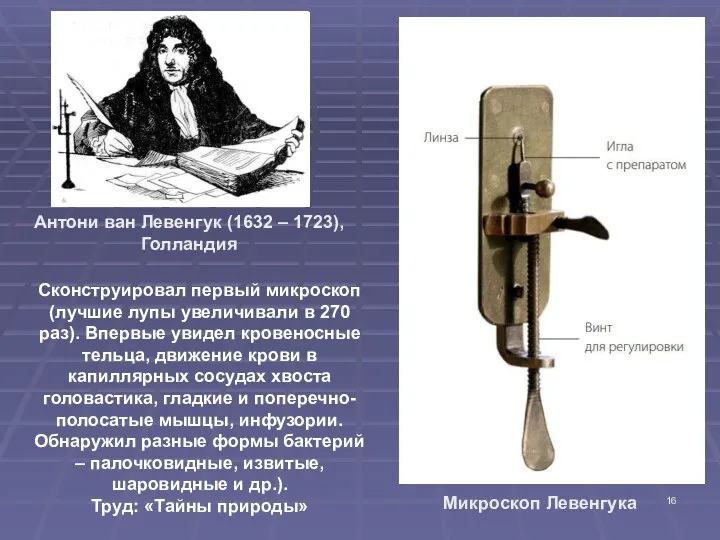 Антони ван Левенгук (1632 – 1723), Голландия Сконструировал первый микроскоп (лучшие