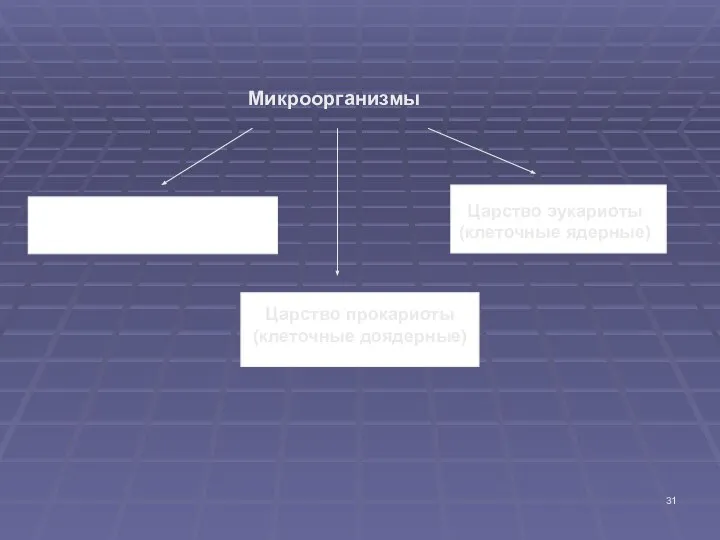 Микроорганизмы Царство Vira (доклеточные доядерные) Царство прокариоты (клеточные доядерные) Царство эукариоты (клеточные ядерные)