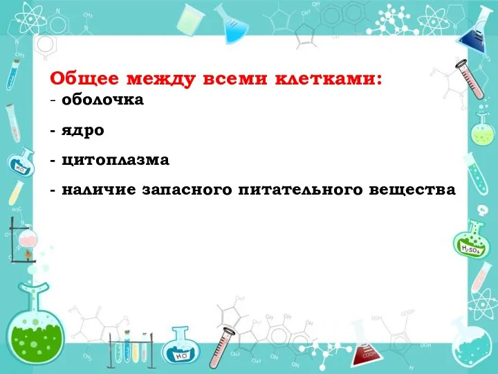 Общее между всеми клетками: - оболочка - ядро - цитоплазма - наличие запасного питательного вещества