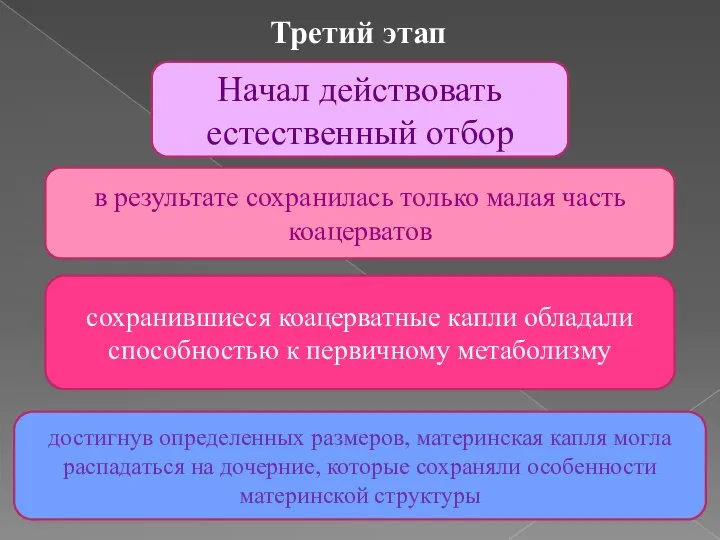 сохранившиеся коацерватные капли обладали способностью к первичному метаболизму Третий этап Начал