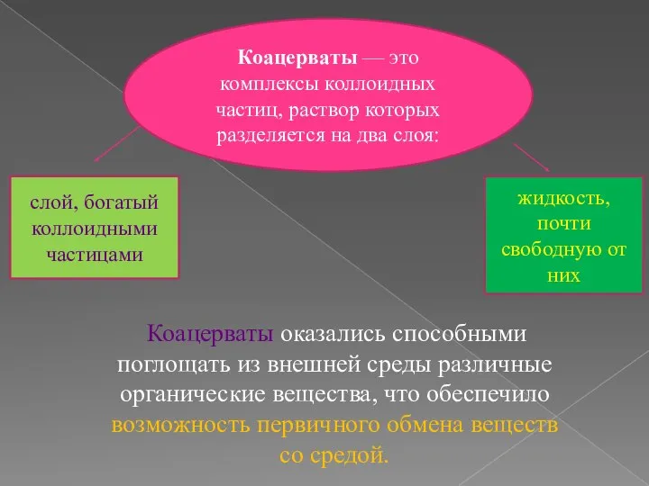 Коацерваты — это комплексы коллоидных частиц, раствор которых разделяется на два