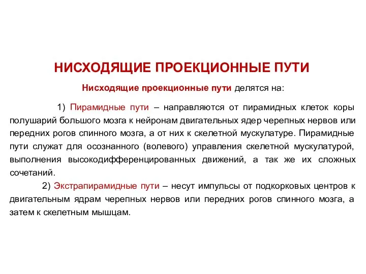 Нисходящие проекционные пути делятся на: 1) Пирамидные пути – направляются от