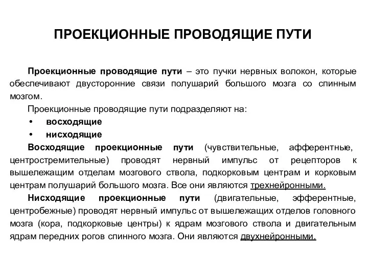 ПРОЕКЦИОННЫЕ ПРОВОДЯЩИЕ ПУТИ Проекционные проводящие пути – это пучки нервных волокон,