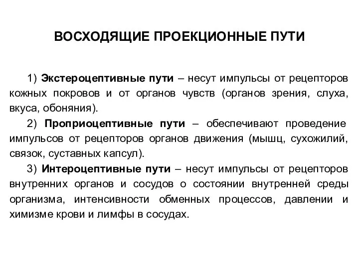 1) Экстероцептивные пути – несут импульсы от рецепторов кожных покровов и