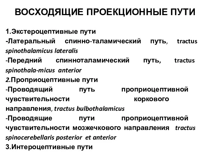 ВОСХОДЯЩИЕ ПРОЕКЦИОННЫЕ ПУТИ 1.Экстероцептивные пути -Латеральный спинно-таламический путь, tractus spinothalamicus lateralis