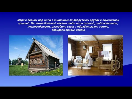 Мари с давних пор жили в типичных старорусских срубах с двускатной