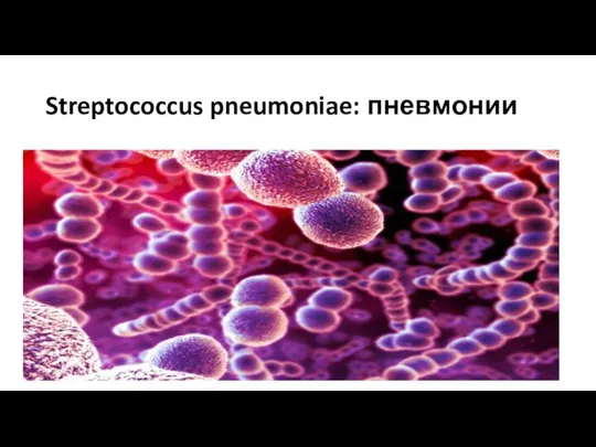 Streptococcus pneumoniae: пневмонии