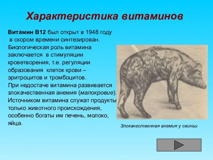 Характеристика витаминов Витамин В12 был открыт в 1948 году в скором
