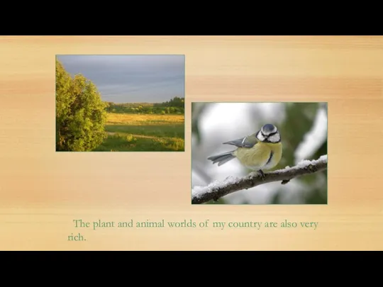 The plant and animal worlds of my country are also very rich.