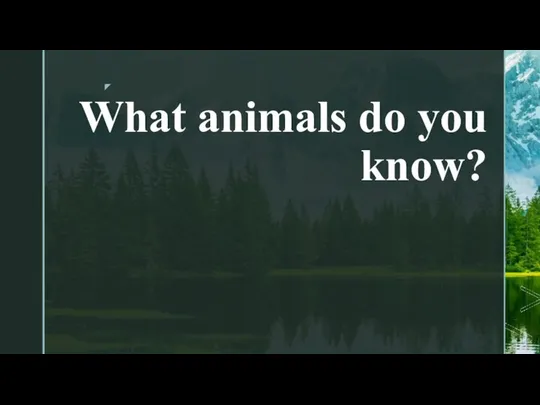 What animals do you know?