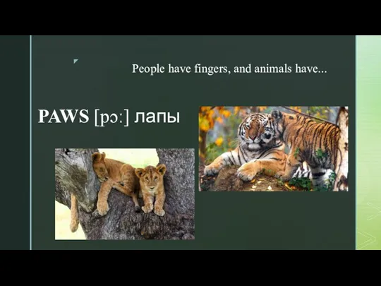 People have fingers, and animals have... PAWS [pɔː] лапы​