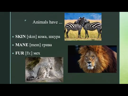 Animals have ... SKIN [skɪn] кожа, шкура MANE [meɪn] грива FUR [fɜː] мех