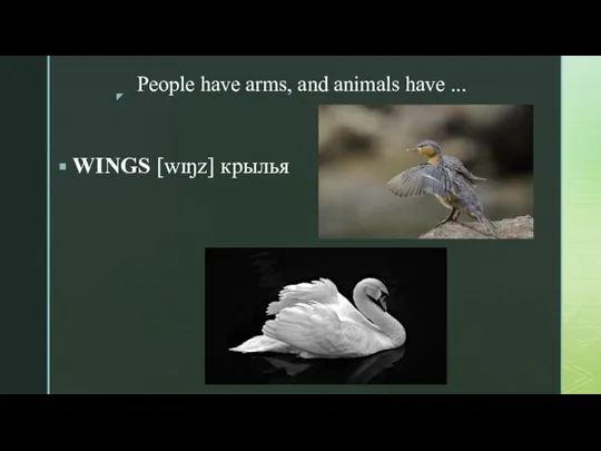 People have arms, and animals have ... WINGS [wɪŋz] крылья