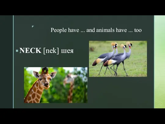 People have ... and animals have ... too NECK [nek] шея