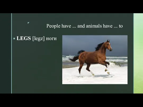 People have ... and animals have ... to LEGS [legz] ноги